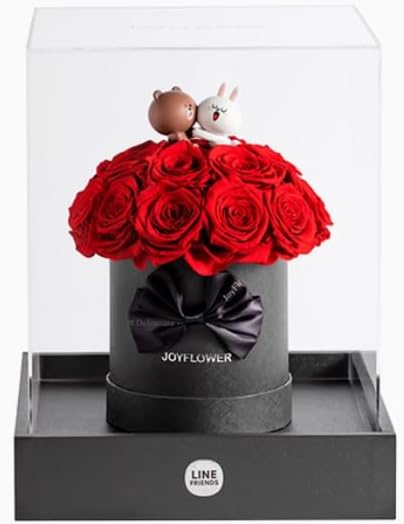 Line Friends Preserved Roses in Acrylic Box, Forever Flowers Red Roses Bear Gift for Women Wife Girlfriend Mom, Eternal Rose Gifts on Wedding, Anniversary, Christmas, Valentine's Day