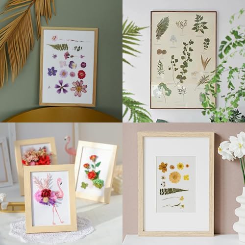 140 PCS Purple Real Pressed Dried Flowers and Leaves with Butterfly Stickers & Tweezers – Natural Dried Flowers for Resin, Candle, Jewelry, Scrapbooking & DIY Crafts (Purple 140)