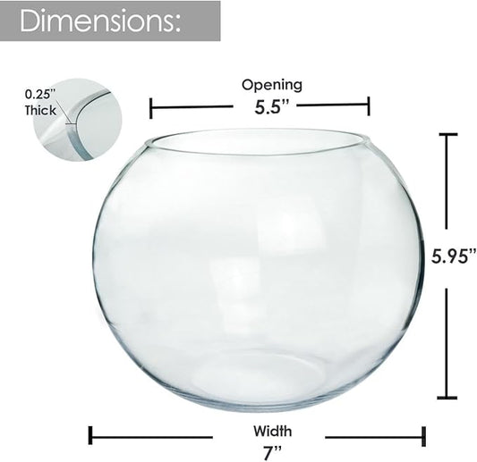 Craft And Party, Glass Bubble, 6" Height x 8" Width Glass Fish Bowl Vase, Bubble Bowl vase for Terrarium, Flower vase Centerpiece
