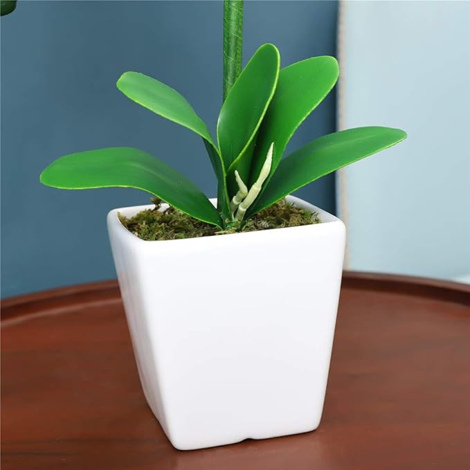 15" Tall Artificial Silk Phalaenopsis Orchid Flower Plant Pot Arrangements (Apple Green)