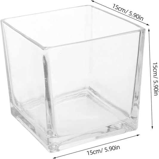 NUOBESTY Clear Thickened Square Glass Vase for Hydroponic Plants Modern Decorative Flower Container Smooth Touch Table Centerpiece for Home and Office