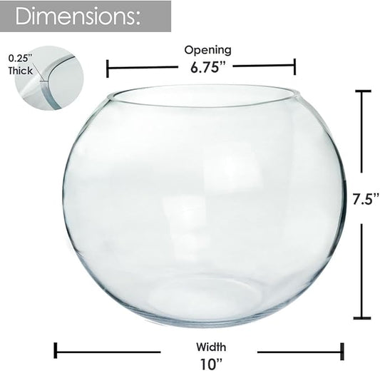 Craft And Party, Glass Bubble Vase, 8" Height x 10" Width, Set of 4 Glass Fish Bowl Vase, Bubble Bowl vase for Terrarium, Flower Vase Centerpiece