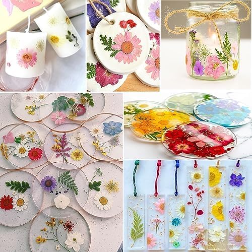 Rose Pressed Flowers for Crafts,TrendCart Real Natural Dry Pressed Flowers for Resin Molds Nails Art Candle Making Phone Cases DIY Art Crafts Jewelry Making