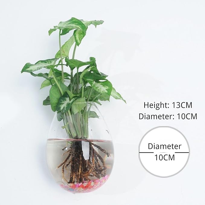Wall-Mounted Acrylic Planter for Hydroponic Plants – Dinosaur Egg Vase, Modern Transparent Design for Home & Office Decoration