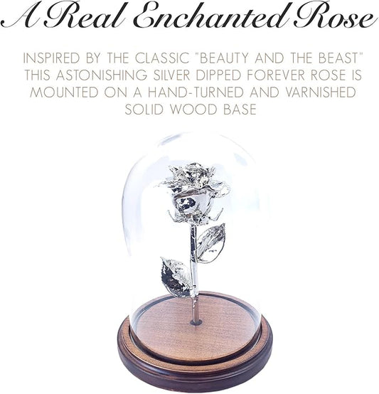 Forever Rose Enchanted Preserved with Real Silver Rose Lasts Forever | Includes Wood Base & Glass Dome | Silver Dipped Rose Assembled by Hand in The USA | Romantic Gifts for Women