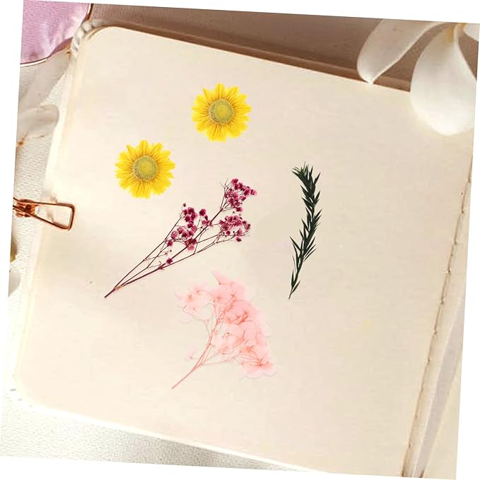 Natural Dried Flowers DIY Craft Kit Real Flower Bouquet Accessories for Photo Frame Making Floral Decorations for Wedding Home Party and Interior Styling