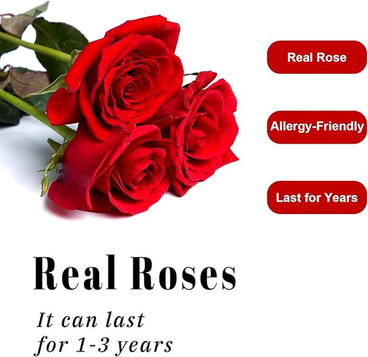 Luxury Preserved Roses – Forever Real Roses Flowers for Delivery in a White Box, Preserved Flowers Birthday Gifts for Women Mom Wife, Ideal for Anniversary (Red 16 Roses, 16 Roses)