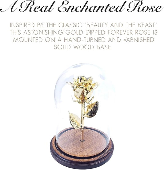 Forever Rose Enchanted Preserved with Real 24K Gold Rose Lasts Forever | Includes Wood Base & Glass Dome | 24K Gold Dipped Rose Assembled by Hand in The USA | Romantic Gifts for Women