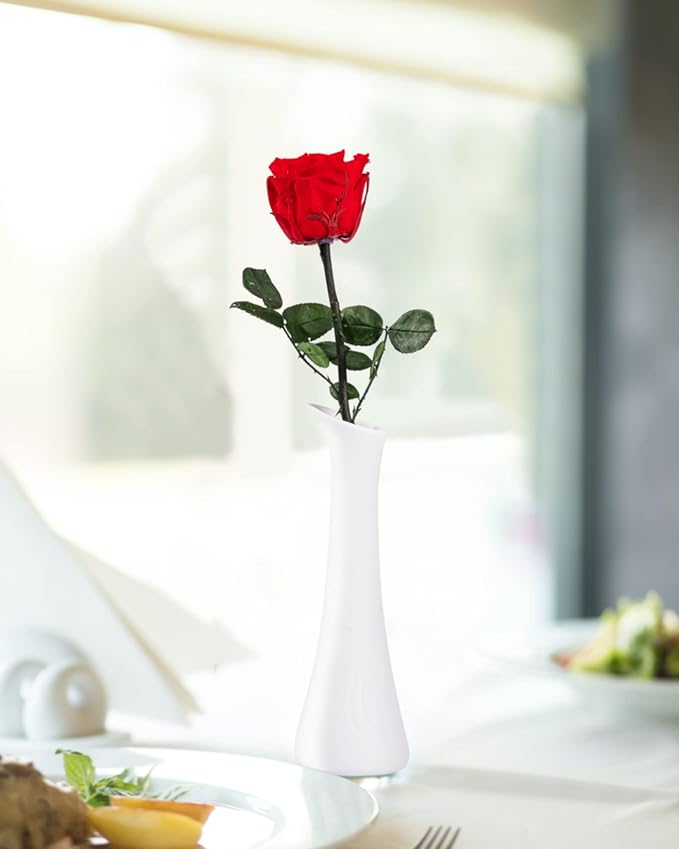 Flowers for Delivery Prime, Preserved Roses Flower Gifts for Women, Real Roses Single Rose Gifts for Her, Mom Birthday Gifts from Daughter, Valentines Flowers Red Roses