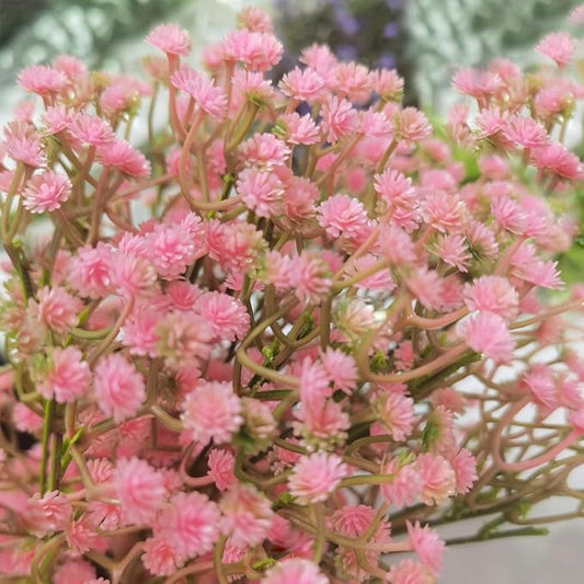 Bringsine Baby Breath Gypsophila Deco Pink Colour Artificial Flowers for Wedding 40 Pieces/lot