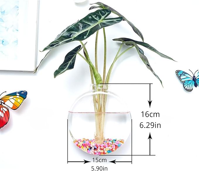 Wall-Mounted Acrylic Planter for Hydroponic Plants – Round Disc Vase Small, Modern Transparent Design for Home & Office Decoration