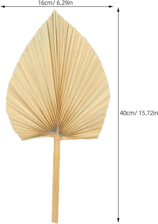 Unomor 3pcs Natural Dried Palm Leaf Decoration for Wedding Layout and Cocktail Party Adornments Premium Handmade Palm Fans for DIY Flower Arrangement Boho Wall Art and Window Display