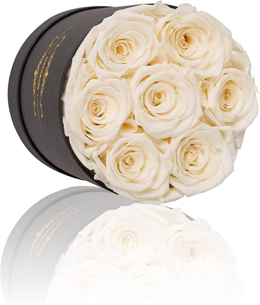 NATROSES 7 Piece Preserved Roses in a Box, Preserved Flowers for Birthday, Flower Gifts for Mothers Day (Buttermilk)