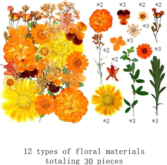 60 Pieces Fall Dried Pressed Flowers Orange Natural Dry Flowers for Crafts,Resin Mold,Scrapbooking,Candle,Soap Making,Embellishment Decorations
