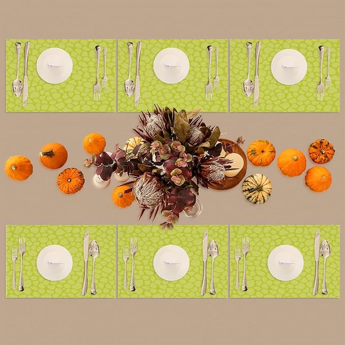 Sage Green Modern Placemats Set of 6 PVC Vinyl Non Slip Table Mats Waterproof Heat Resistant Place Mats Washable Wipeable Dining Table Mat for Kitchen Party Farmhouse Indoor Outdoor Decorative