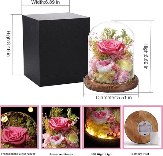 Flowers for Delivery Prime Preserved Flowers Pink Roses with LED Light in a Glass Dome,Long Lasting Real Roses Birthday Gifts for Women Daughter Mom Wife Friend(Pink Rose)