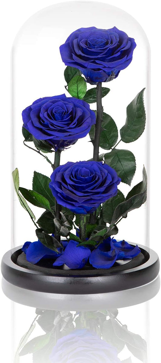 Preserved Roses Handmade Preserved Flowers in Glass Dome, Blue Rose Never Withered, Birthday Gifts for Women (13 inch)