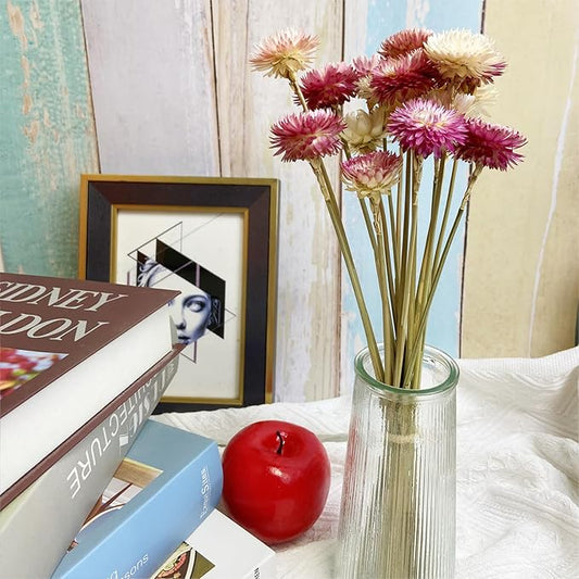 L'BREVOGA Dried Flower Bouquets, 16 pcs 100% Natural Daisy Strawflower for Decoration Home Party - Pink & White
