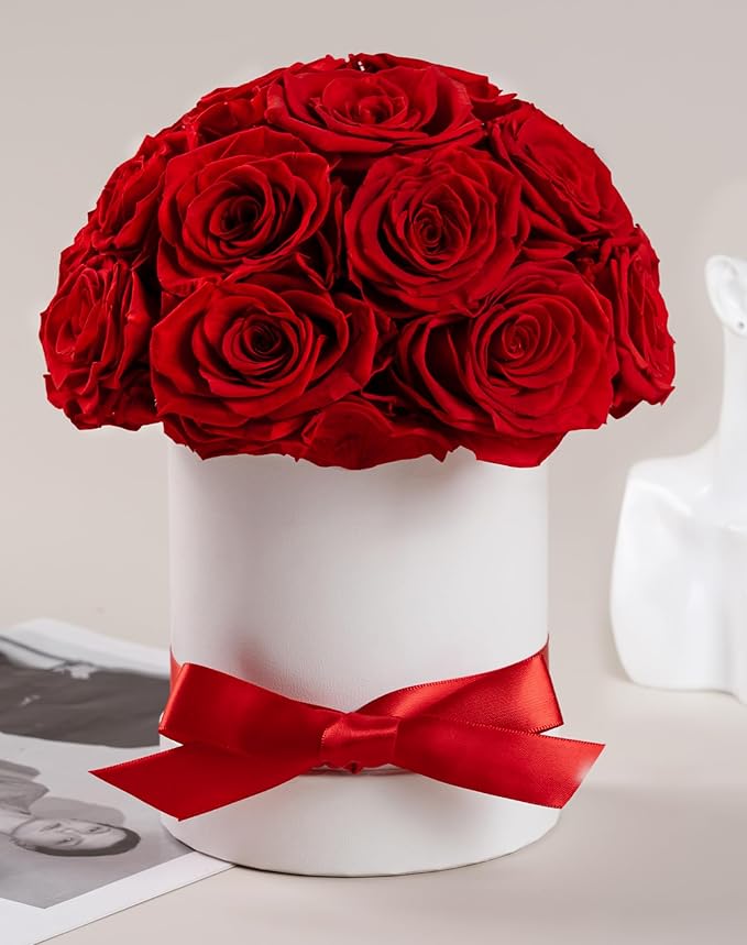 Preserved Roses Dome in a Box, Forever Real Roses Decor, Eternal Flowers for Delivery Prime, Best Gifts Birthday, Wedding, Anniversary, Mother's Day, Christmas for Her, 18-Pieces (Red)