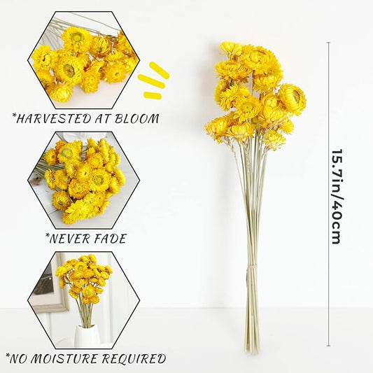 Dried Flower 40PCS Daisy Bouquet 100% Natural Chrysanthemum Dry Flower for Vase Home décor Party DIY Arrangement Wheat Straw Bulk(Yellow)