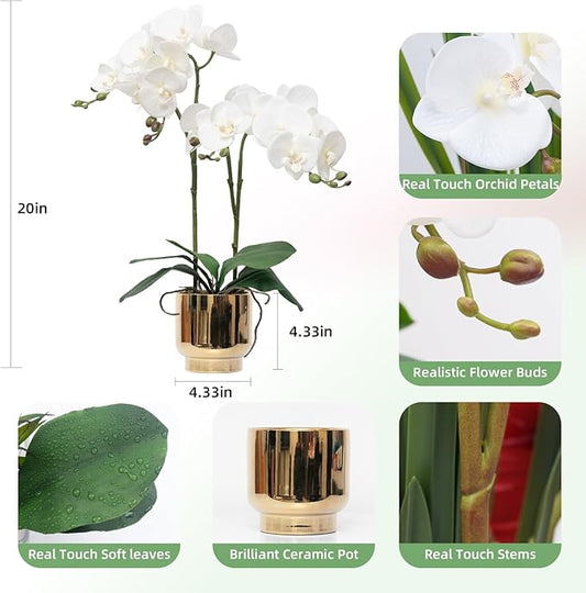 CXGS Orchids Artificial Flowers Real Touch Fake Flowers in Ceramic Pot 20" White Faux Orchid Plant Lifelike Silk Phalaenopsis for Centerpiece Hotel Home Indoor Decor