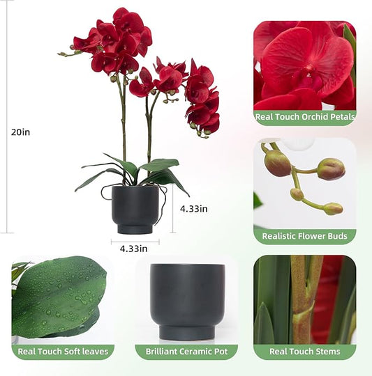 CXGS Orchids Artificial Flowers Real Touch Fake Flowers in Ceramic Pot 20" Red Faux Orchid Plant Lifelike Silk Phalaenopsis for Centerpiece Hotel Home Indoor Decor