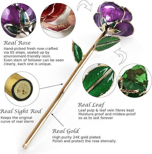 Sinvitron Gold Dipped Infinity Rose Forever Flower Decor, Resin Preserved Real Rose Birthday Gift for Women, Anniversary Present for Mom (Purple)