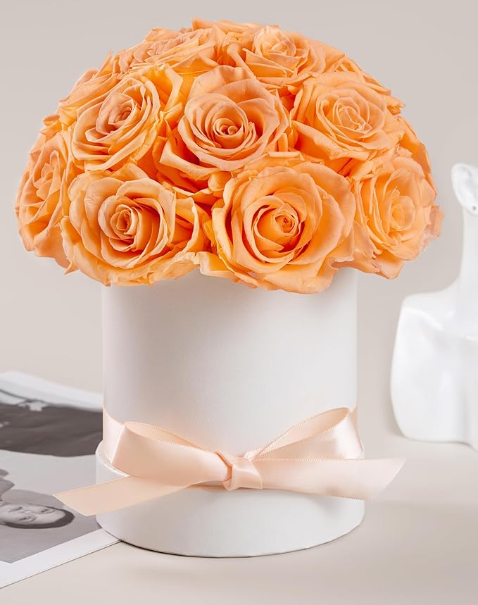 Preserved Roses Dome in a Box, Forever Real Roses Decor, Eternal Flowers for Delivery Prime, Best Gifts Birthday, Wedding, Anniversary, Mother's Day, Christmas for Her, 18-Pieces (Champagne)