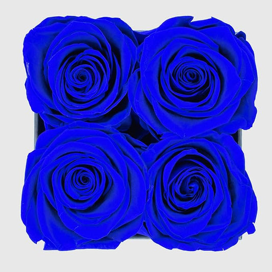 Graceful Fleurs | Real Long Lasting Roses for Years | Preserved Fresh Flowers for Delivery Birthday | Birthday Gifts for Women | Forever Roses in a Box (Blue, Black Box, 4 Roses)