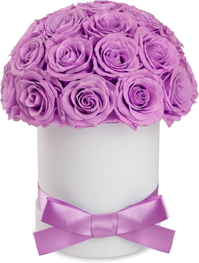 27 Forever Roses Dome in White Box, Eternal Real Roses Gifts for Women, Preserved Flowers for Delivery Prime, Anniversary, Valentine's Day, Christmas, Birthday for Her (Light Purple)