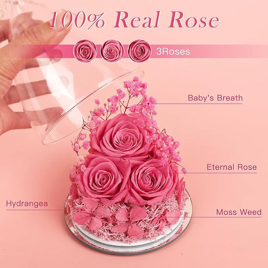 Preserved Flower Rose Gifts for Women, Forever Eternal Fresh Flowers in Glass Angel Figurines Flowers for Delivery Prime Pink Roses for Grandma Mom Sister Her Wife on Mothers Day Birthday Christmas