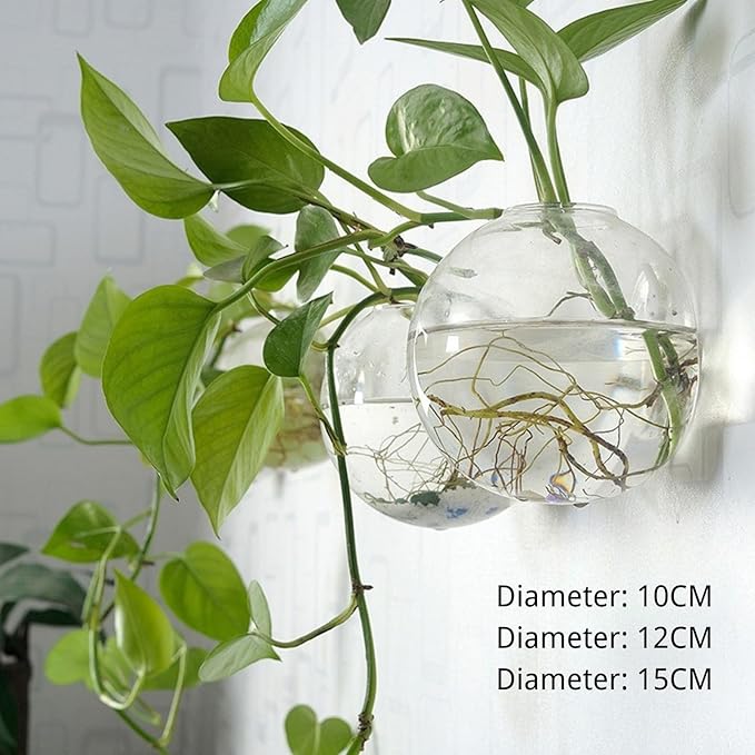 Wall-Mounted Acrylic Planter for Hydroponic Plants – Mantou Vase Small, Modern Transparent Design for Home & Office Decoration