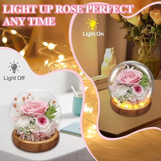 Preserved Rose Forever Flowers in Glass Dome Gifts for Women, Long-Lasting Real Flowers,Red Eternal Rose Birthday Gifts for Mom Valentines Day Anniversary for Wife Girlfriend