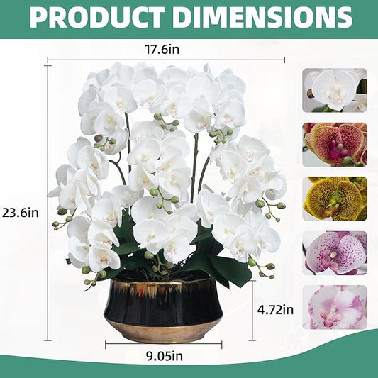 CXGS Orchids Artificial Flower Real Touch Faux Orchid in Large Ceramic Vase 23.6'' Realistic White Fake Phalaenopsis Floral Arrangements Centerpiece Table Home Indoor Decor