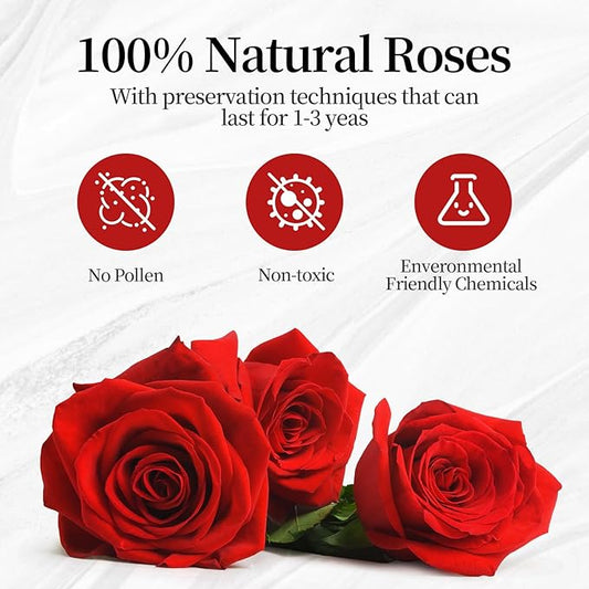 Flower, Forever Roses in A Box, Fresh Flowers, Birthday Gifts for Her, Women, Mom, Girlfriend, Wife, Grandma,Red Forever Roses