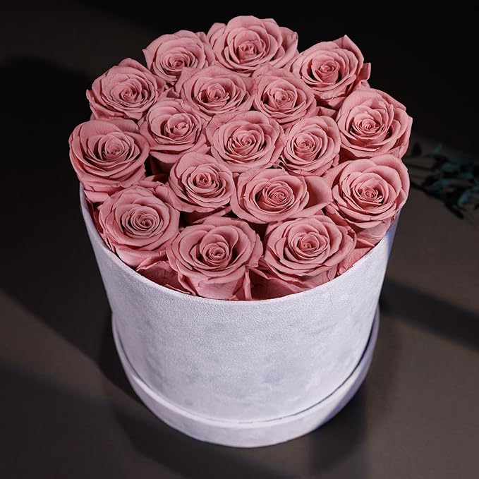17 Flowers in a Luxury Suede Box, Birthday Gifts for Women, Preserved Flowers, Mothers Day Roses Gift for Mom, Dusty Rose