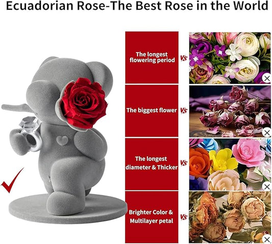JoyFlower Cute Teddy Bear with Preserved Flowers, Eternal Real Red Rose with Promise Ring Gifts with Gift Box for Girlfriend Wife Women Her in Birthday Christmas, Valentine's, Weddings, Anniversary