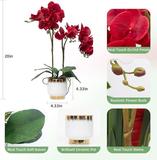 CXGS Orchids Artificial Flowers Real Touch Fake Flowers in Ceramic Pot 20" Red Faux Orchid Plant Lifelike Silk Phalaenopsis for Centerpiece Hotel Home Indoor Decor