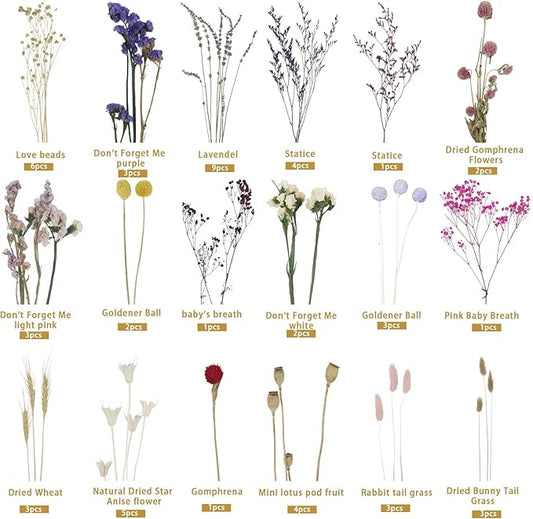 CISDUEO Dried Flowers Bouquet Dried Forget Me Not Natural Lavender Dried Flowers Bunny Tails Baby's Breath Flowers Wheat Stalks Floral Arrangements for Wedding Table Centerpiece Decor Farmhouse DIY