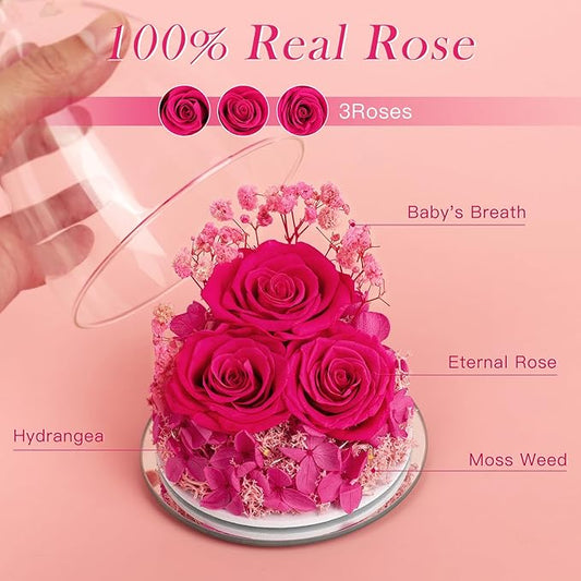 Preserved Flower Rose Gifts for Women, Forever Eternal Fresh Flowers in Glass Angel Figurines Flowers for Delivery Prime for Grandma Mom from Daughter Sister Her Wife on Mothers Day Birthday Christmas
