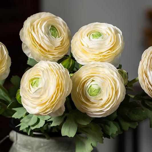 Artificial Ranunculus Flowers with Real Touch Stem, Silk Ranunculus Flowers (6 Pack) (White)