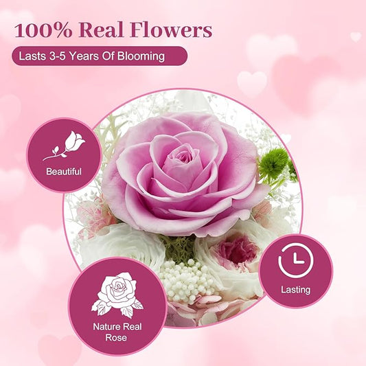 Preserved Flowers Birthday Gifts for Her Preserved Rose in Glass Dome Forever Fresh Flowers for Delivery Prime Eternal Pink Rose Gifts for Women Wife Mom Sister on Anniversary Valentines Day