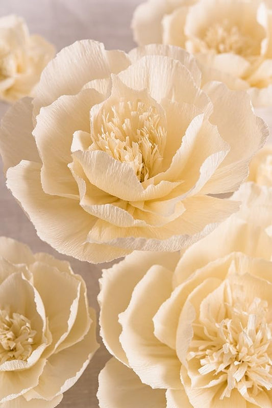 Crepe Paper Flowers Decoration for Wall, Flowers for Wedding Decor,Flower Backdrop Decor,Baby Shower,Birthday Party,Photo Backdrop,Archway Decor, Nursery Wall Decor(Beige,Set of 6)