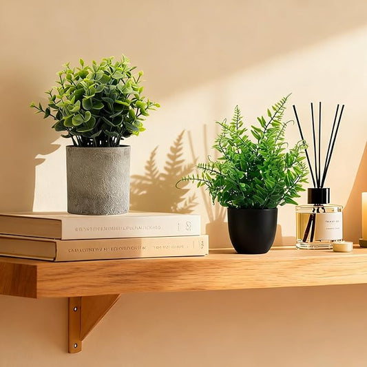 Artificial Potted Plants Faux Greenery in Cement Pots for Shelf, Bookshelf, Office or Home Decor, Small Decorative Fake Plants for Modern Indoor Display (7, XXL)