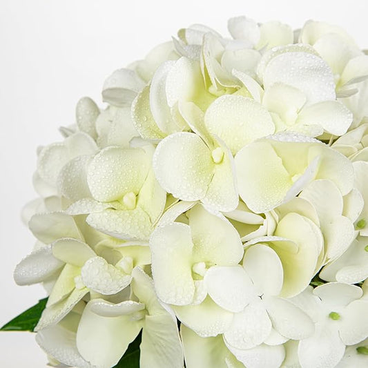 Hollyone Real Touch White Hydrangea Artificial Flowers in Vase Latex Small Faux Hydrangea Flowers Arrangements Hydrangeas Fake Flower with Glass Vase with Faux Water for Table Centerpiece Home Decor