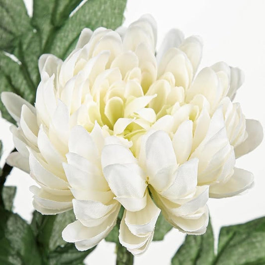 Hollyone 5Pcs Fake Mums Flowers White Artificial Chrysanthemum Flowers Silk 22.8inch Long Stem Floral Arrangements Bouquets Faux Spider Mum Flower Pincushion Flower Bush Spring Home Decor