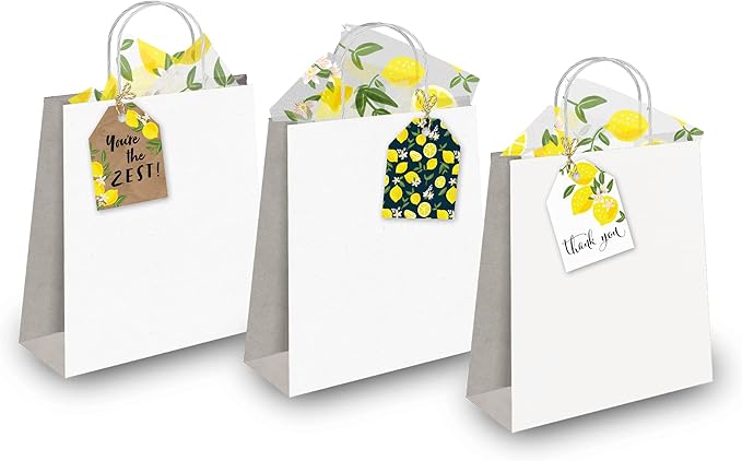 Pro Supply Global 24 Count of 2.5 Inch x 3 Inch Pre Strung Lemons Gift Tag Assorted Printed Designs on Large Cardstock Gift Hang Tags - Ideal to Use on Bags