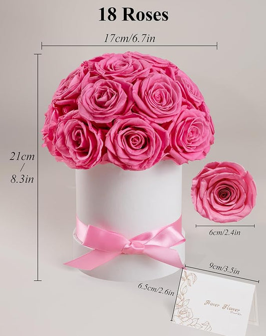 Preserved Roses Dome in a Box, Forever Real Roses Decor, Eternal Flowers for Delivery Prime, Best Gifts Birthday, Wedding, Anniversary, Mother's Day, Christmas for Her, 18-Pieces (Pink)