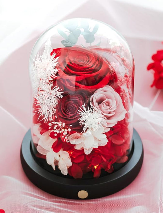 FIACO Preserved Flowers Christmas Rose Gifts for Women, Birthday Gifts Eternal Rose in Glass Dome Long-Lasting Real Forever Flowers Gifts for Mom Grandma Wife Girlfriend Red