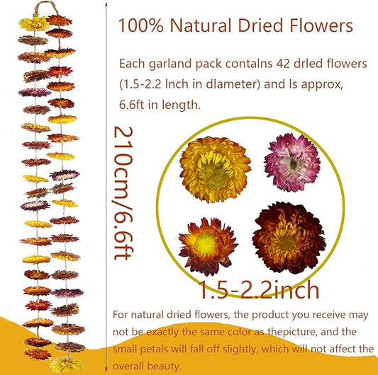 Dried Flowers Garland Real Daisy Sunflower Garlands 6.6ft Natural Dried Daisy Flowers Heads Gerbera Daisies Dry Flower Arrangements for Wedding Boho Decor Home Party Wall Hanging Decoration